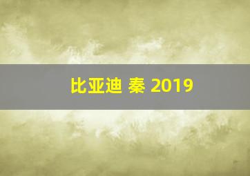 比亚迪 秦 2019